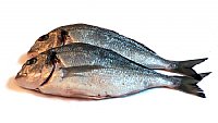 Kako prepoznati svežo ribo?